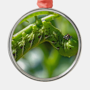Tomato Hornworm Metal Ornament