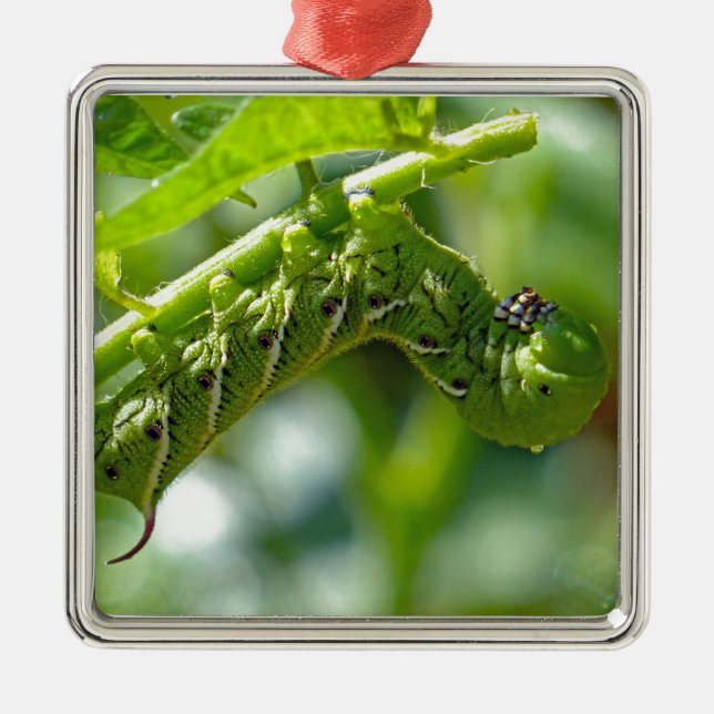 Tomato Hornworm Metal Ornament (Front)