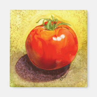 Tomato Magnet