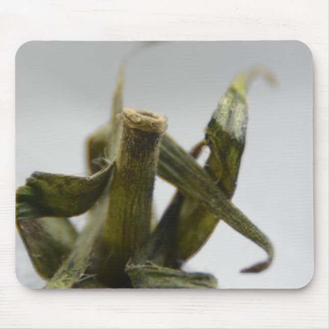 Tomato Mouse Pad (Front)