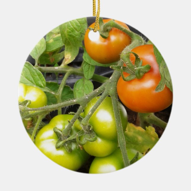 Tomato Plant Ceramic Ornament (Front)