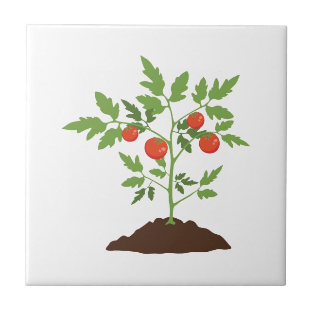 Tomato Plant Ceramic Tile (Front)
