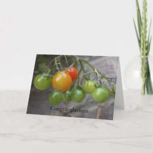 Tomato Plant  Congratulations Card