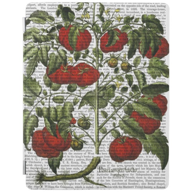 Tomato Plant iPad Air Cover (Front)
