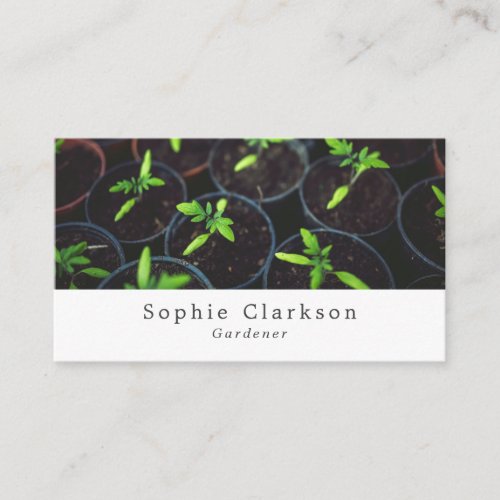 Tomato Plants Gardening Service Horticulturist Business Card