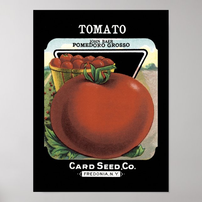 Tomato Vintage Seed Packet Poster (Front)