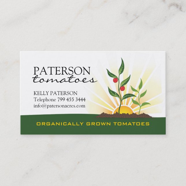 Tomatoe Farmer Business Card (Front)