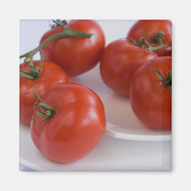 tomatoes_1 magnet (Front)