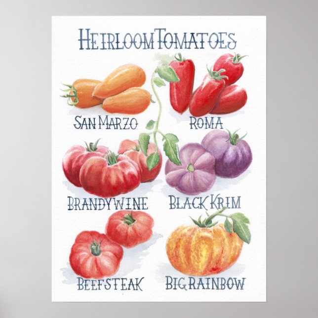 Tomatoes Art Print (Front)
