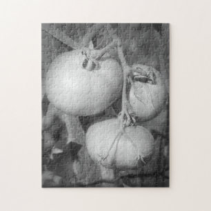 Tomatoes In Black And White Nature Jigsaw Puzzle