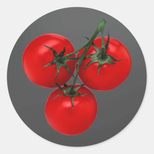 Tomatoes on a Vine Classic Round Sticker