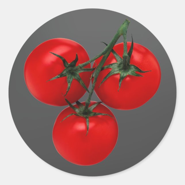 Tomatoes on a Vine Classic Round Sticker (Front)