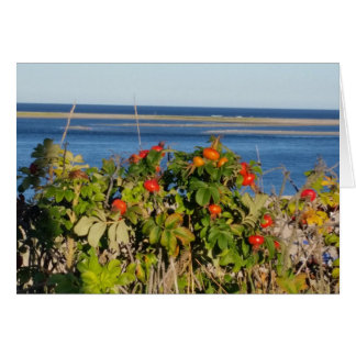 Tomatoes on the Sea Cards