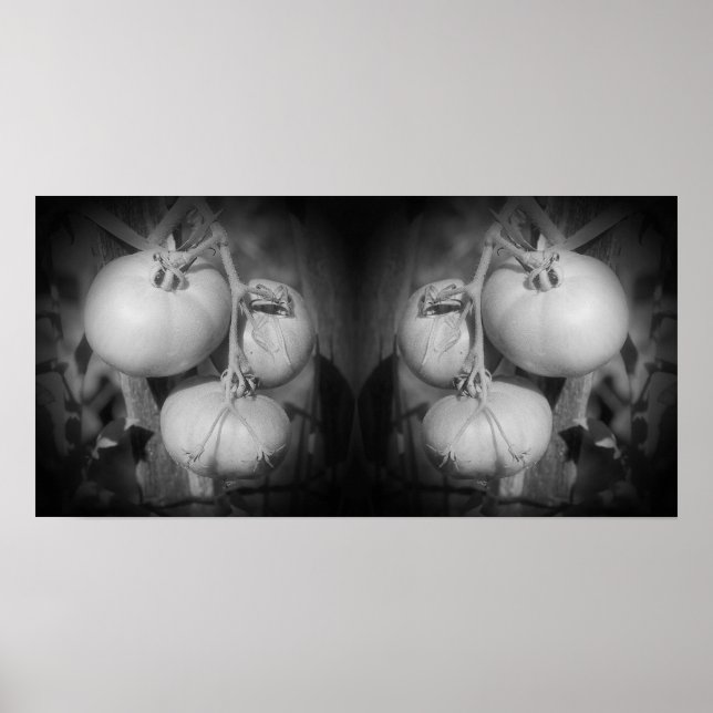 Tomatoes On The Vine Black And White Abstract Poster (Front)
