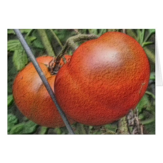 Tomatoes On The Vine Nature Art Card (Front Horizontal)
