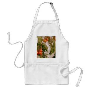 Tomatoes On Vine Adult Apron