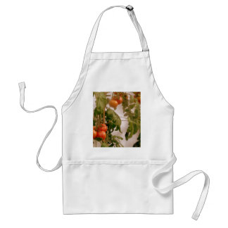 Tomatoes On Vine Adult Apron