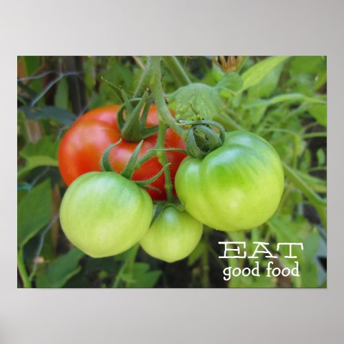 Tomatoes Organic Eat Good Food Vegetable Poster