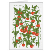 Tomatoes Pattern (Front)