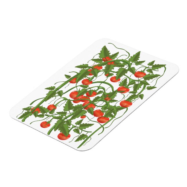 Tomatoes Pattern Magnet (Left Side)