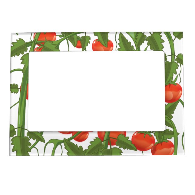 Tomatoes Pattern Magnetic Frame (Front)