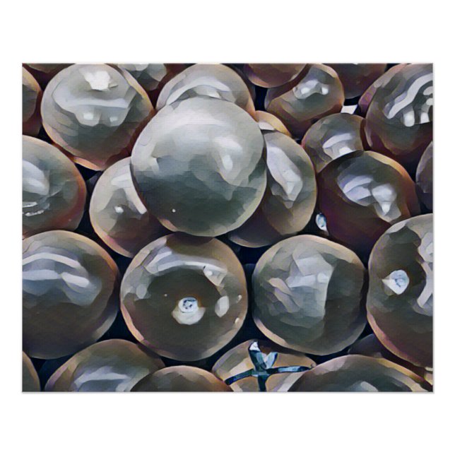 TOMATOES   POSTER (Front)