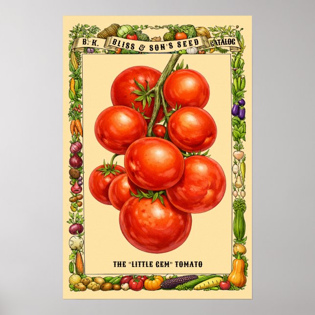 Tomatoes Retro Victorian Era Botanical Art Poster (Front)