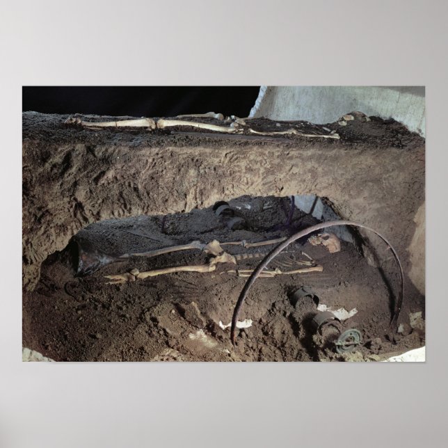 Tomb of a Gaulish chief Poster (Front)