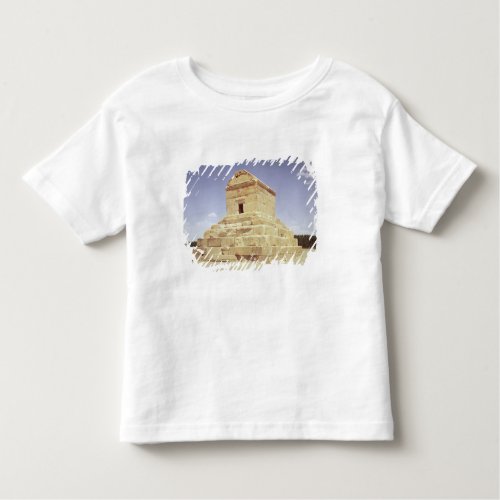 Tomb of Cyrus the Great Toddler T_shirt