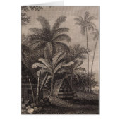 Tombs, Muthuata, Fiji (Front)