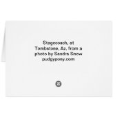 Tombstone Stagecoach horses Cards (Back Horizontal)