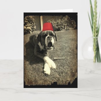 Tommy Cooper Boxer Dog Card by mail_me at Zazzle