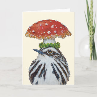Tommy the black and white warbler card