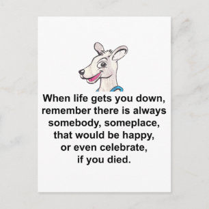 Tommy The Terrible Kangaroo 1 Postcard