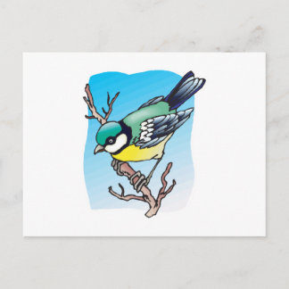 tomtit bird postcard