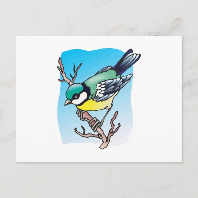tomtit bird postcard (Front)