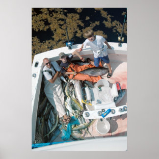 Ton O Fish Poster