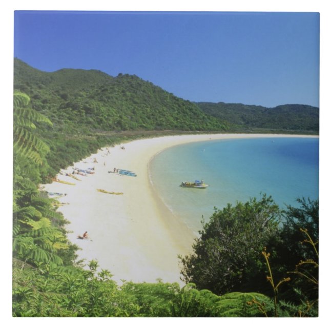Tonga Bay, Abel Tasman NP, South Island, New Ceramic Tile (Front)