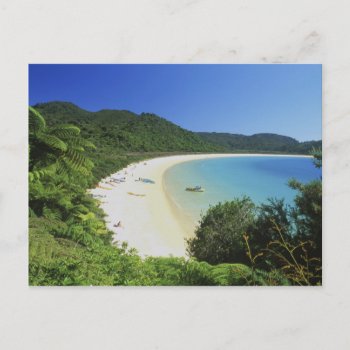 Tonga Bay  Abel Tasman Np  South Island  New Postcard by tothebeach at Zazzle