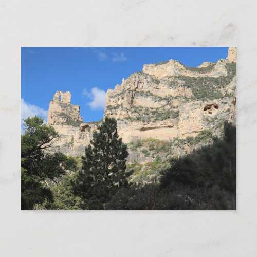 Tongue Canyon in Bighorn National Forest Wyoming Postcard