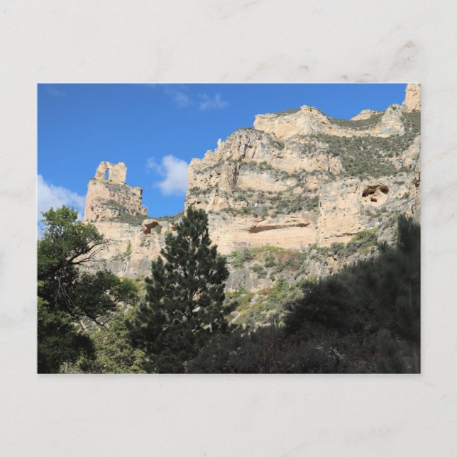 Tongue Canyon in Bighorn National Forest, Wyoming Postcard (Front)