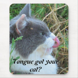 Tongue Got Your Cat? Meme Mouse Pad