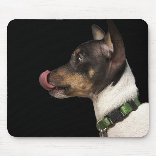 Tongue out of black and White Rat Terrier Mouse Pad (Front)