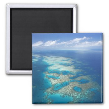 Tongue Reef  Great Barrier Reef Marine Park  Magnet by tothebeach at Zazzle