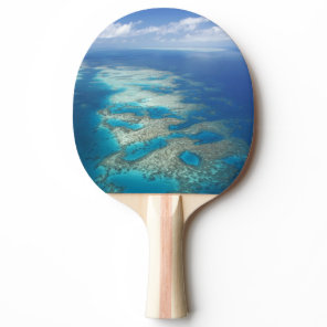 Tongue Reef, Great Barrier Reef Marine Park, Ping Pong Paddle