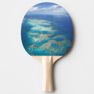 Tongue Reef, Great Barrier Reef Marine Park, Ping Pong Paddle