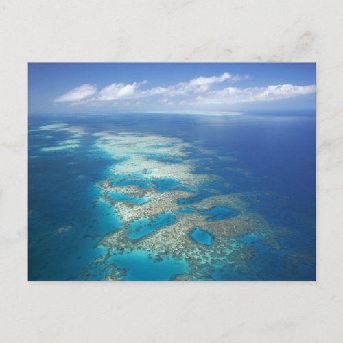Tongue Reef Great Barrier Reef Marine Park Postcard