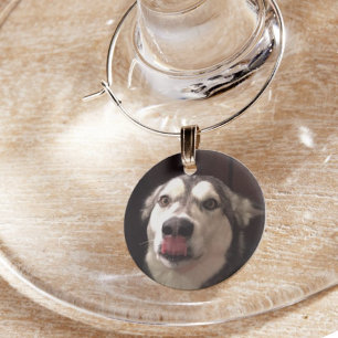 Tongue Teasing Alaskan Malamute Photograph Wine Charm