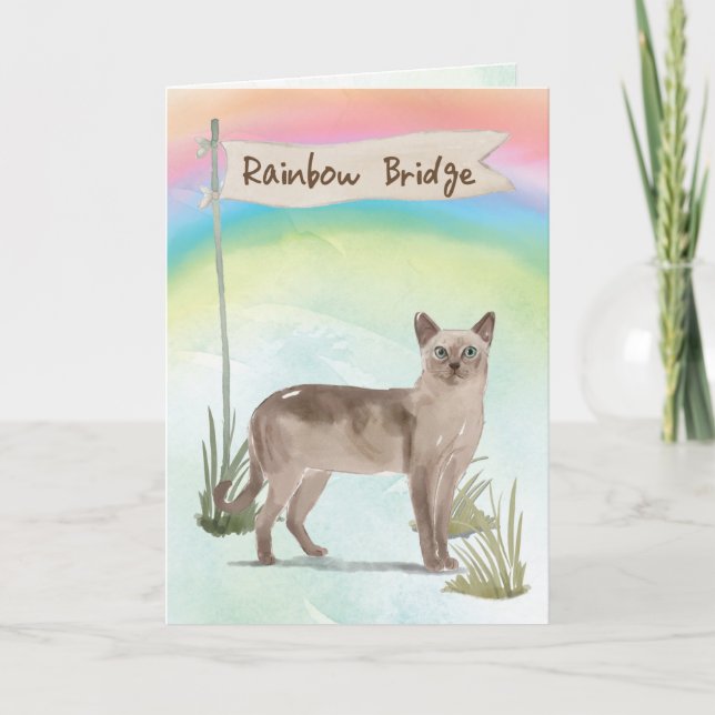 Tonkinese Cat Pet Sympathy Over Rainbow Bridge Card (Front)