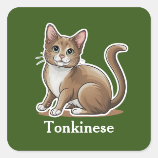 Tonkinese Square Sticker